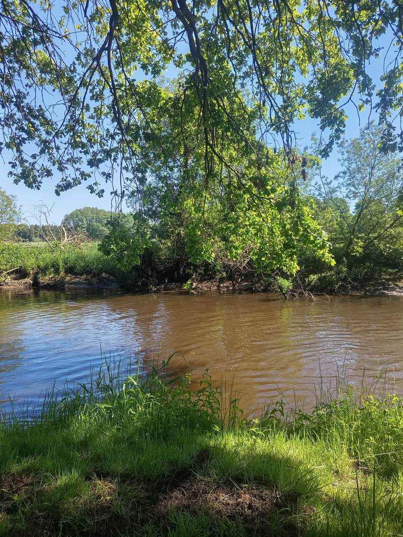 The River Oste with trees along its banks
