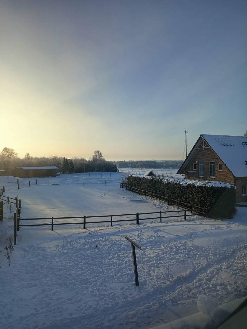 Snow-covered paddock in winter