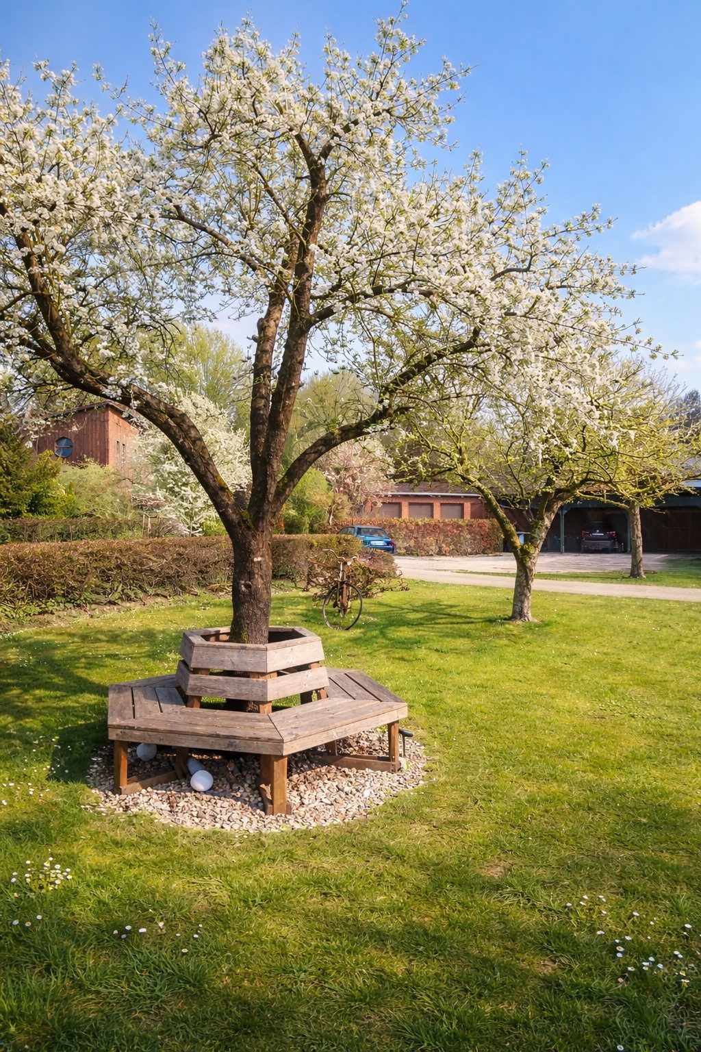 Fruit tree in blossom with a round bench in the garden