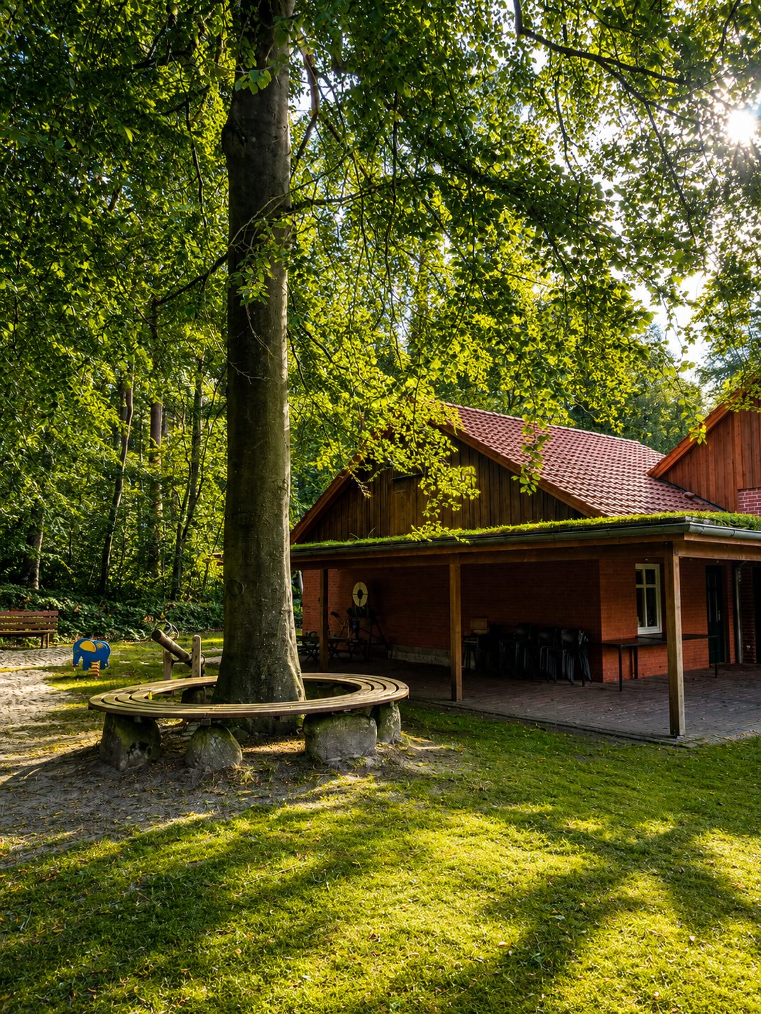 Forest clearing with a wooden hut